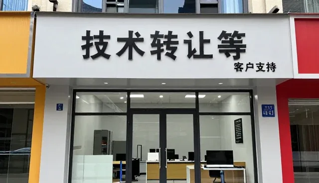 技术转让中的性能考量与适用条件分析